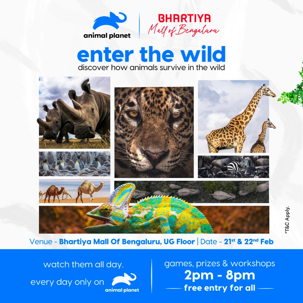 Bhartiya Mall of Bengaluru Brings the Wild to Life with ‘Enter the Wild’ — A Pet-Friendly Experiential Event Curated with Animal Planet

